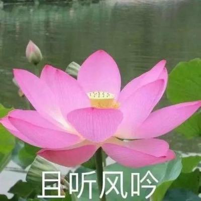 华体电竞官网
